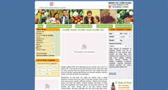 Desktop Screenshot of foodpyramidindia.org